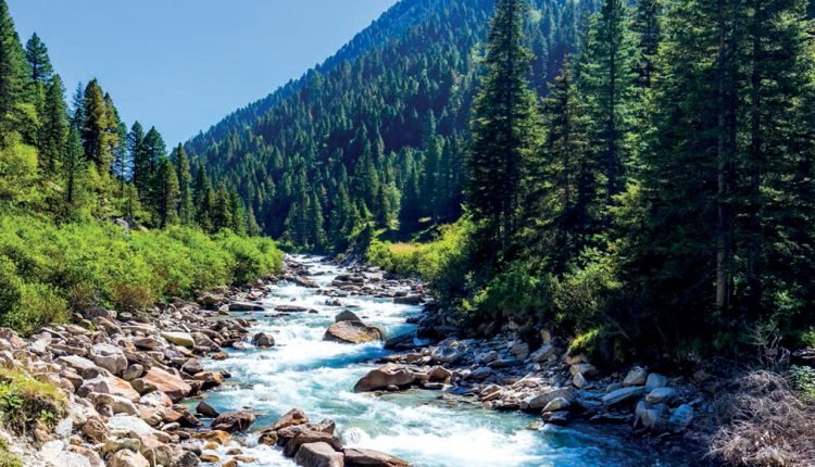 Human Nature, Human Error And The System